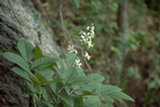 0405018s.jpg