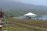 0405024s.jpg