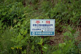 0405030s.jpg