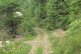 0405033s.jpg