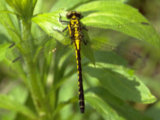 0405063s.jpg