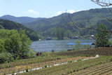 0405092s.jpg
