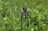 0405102s.jpg
