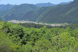 0405124s.jpg