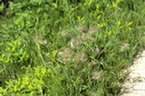 0405128s.jpg
