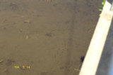 0405136s.jpg