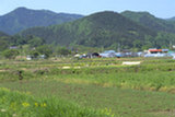 0405139s.jpg