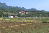 0405140s.jpg