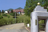 0405143s.jpg