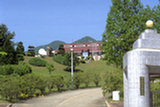 0405144s.jpg