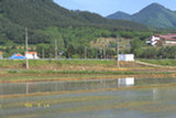 0405147s.jpg