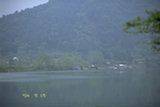 0405205s.jpg