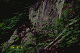 0405227s.jpg