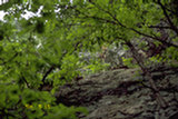 0405228s.jpg