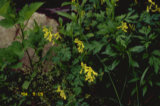 0405248s.jpg