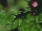 0405249s.jpg
