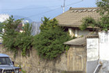 0405269s.jpg