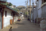 0405272s.jpg