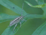 0407006s.jpg