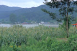 0407071s.jpg