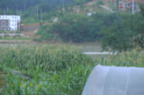 0407072s.jpg