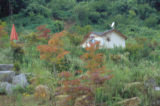 0407083s.jpg
