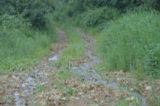 0407101s.jpg