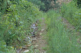0407102s.jpg