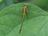 0407113s.jpg