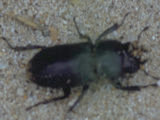 0407124s.jpg