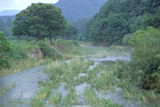 0407183s.jpg