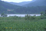 0407187s.jpg