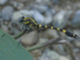 0407202s.jpg