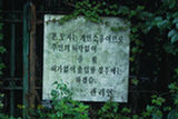 0407229s.jpg