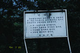 0407230s.jpg