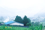 0407511s.jpg