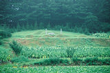 0407516s.jpg