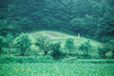 0407518s.jpg