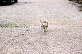 0407531s.jpg