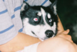 0407553s.jpg