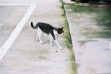 0407554s.jpg