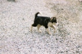 0407569s.jpg