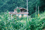 0407584s.jpg