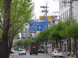 0505006s.jpg