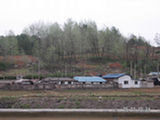 0505040s.jpg