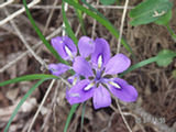 0505056s.jpg