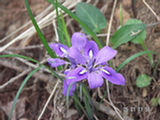 0505057s.jpg