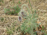 0505063s.jpg