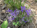 0505103s.jpg