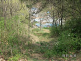 0505105s.jpg